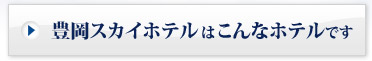 豊岡スカイホテルはこんなホテルです